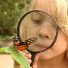 Wye Valley Butterfly Zoo